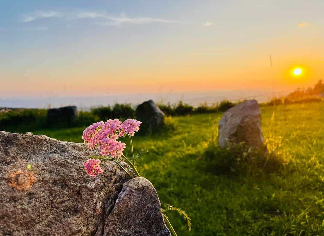 outdooryoga_heuberg_hilpoltstein_yogahaus_soham